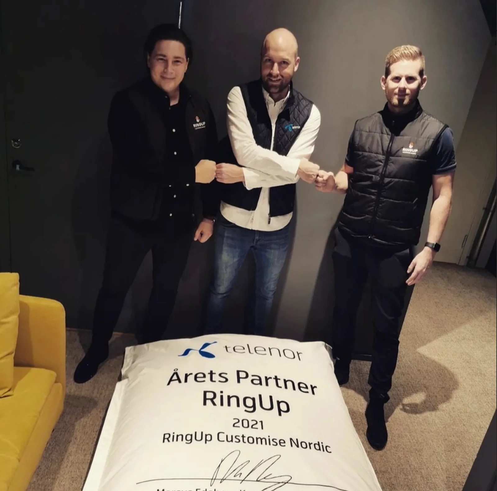 Representanter vid partnerutmärkelse